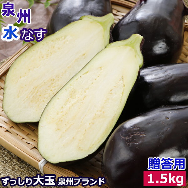 泉州 生 水なす 10個 約1.5kg 贈答用 水ナス 水茄子 ギフト SSS