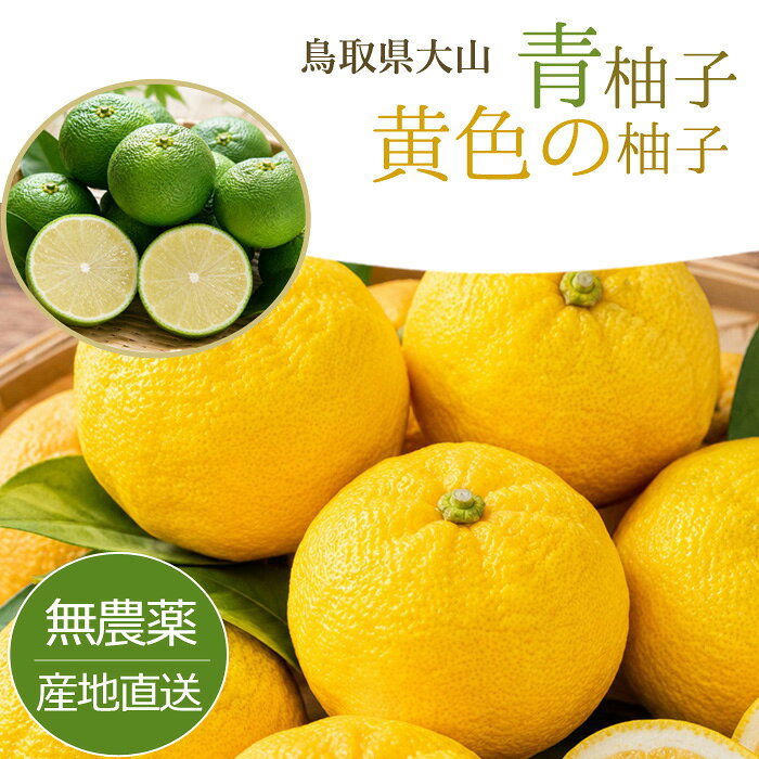 無農薬 種無し 柚子 青柚子 ゆず 1kg ～ 10kg 鳥取産 青ゆず ユズ 種なし 多田錦 ...