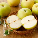 2026年8月分予約 低農薬 訳あり 鳥取 二十世紀梨 4.8キロ 14〜16玉入 20世紀梨 20世紀 二十世紀 和梨 SSS 産地直送 ※ ふるさと納税 で...