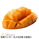 宮崎マンゴー 贈答向け L~3Lサイズ 1玉〜2玉 化粧箱入 宮崎 ギフト マンゴー 宮崎県 完熟 完熟マンゴーS10 ※ ふるさと納税 ではありません