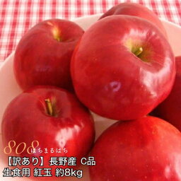 訳あり 減農薬 長野 生食用 紅玉 りんご 約8kg C品 小玉32～60個入 リンゴ 林檎 産地直送 小山 SSS 9g