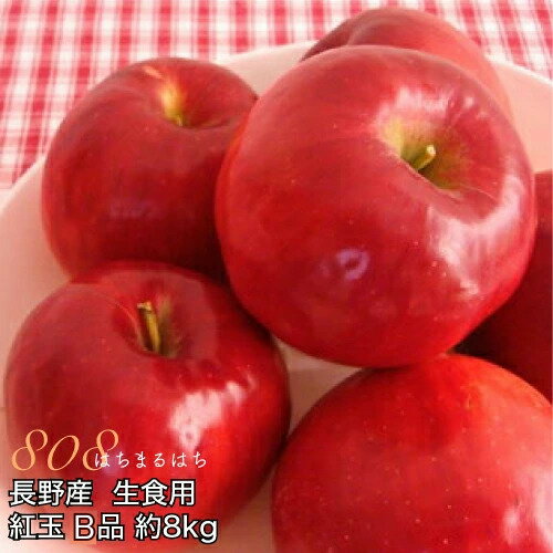 りんご 減農薬 長野 生食用 紅玉 りんご B品 約8kg 小玉24～50個入 リンゴ 林檎 産地直送 小山 9g