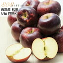 りんご 減農薬 長野 秋映 りんご B品 約9kg 24～50個入 秋映え リンゴ 林檎 産地直送 小山 SSS