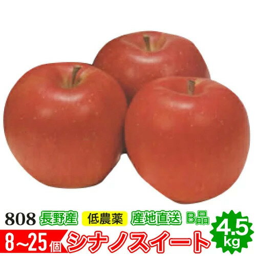 2024年10月分予約 減農薬 シナノスイート りんご B品 約4.5kg 8～25個入 長野産リンゴ 林檎 産地直送 小山 SSS