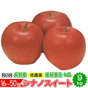 2024年10月分予約 減農薬 シナノスイート りんご B品 約9kg 16～50個入 長野産リンゴ 林檎 産地直送 小山 SSS