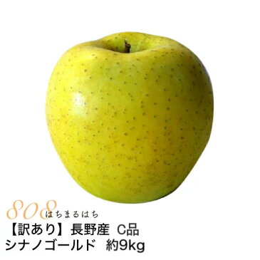 【10月分予約】訳あり 減農薬 長野 シナノゴールド りんご 約9kg 16〜50個入 C品 リンゴ 林檎 産地直送 小山