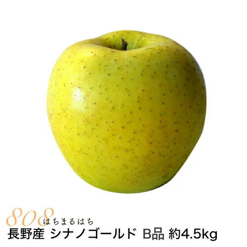 りんご 減農薬 長野 シナノゴールド りんご B品 約4.5kg 8～25個入 リンゴ 林檎 産地直送 小山