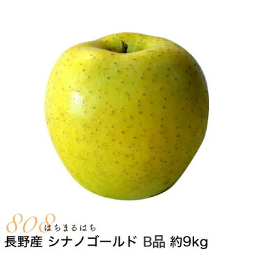 【10月分予約】減農薬 長野 シナノゴールド りんご B品 約9kg 16〜50個入 リンゴ 林檎 産地直送 小山 11j