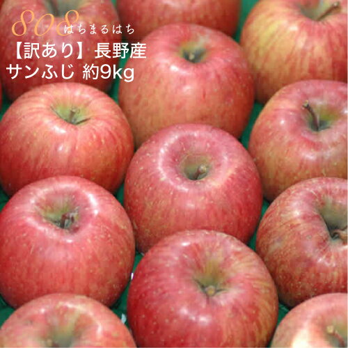 12月分予約 減農薬 サンふじ りんご 訳あり 約9kg C品 24～50個入 長野 リンゴ 林檎 さんふじ サンフジ 小山 SSS 産地直送