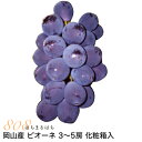 9月分予約 訳あり 岡山産 ぶどう ピオーネ 1.8kg 3〜5房 ご家庭用 優品 化粧箱入 ブドウ 葡萄 産地直送 SSS ※ ふるさと納税 ではありません