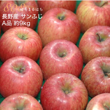 減農薬 サンふじ りんご A品 約9kg 24〜46個入 長野 リンゴ 林檎 さんふじ サンフジ 小山 NN