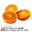 12月分予約 訳あり 減農薬 紅まどんな と同品種 みかん あいか 約3kg C品 サイズ混合 愛媛 産地直送 大三島 お歳暮 ※ ふるさと納税 ではありません 5,580円