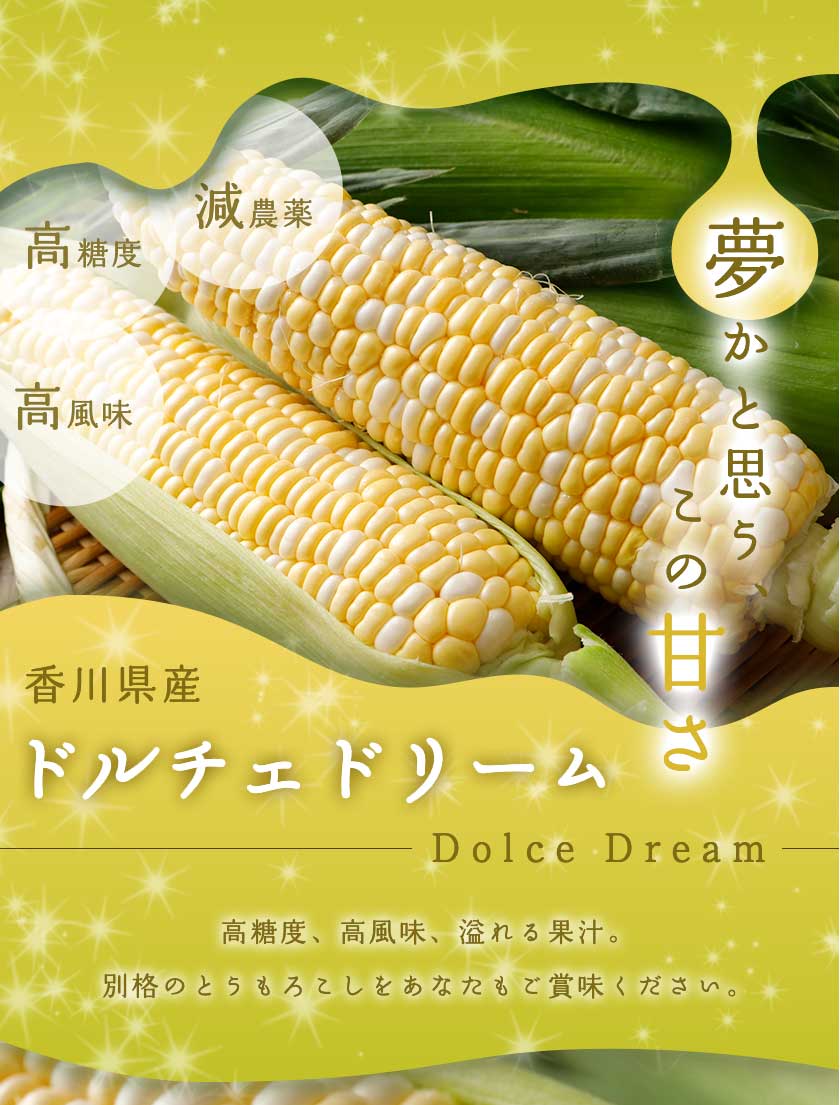 減農薬 香川産 朝採れ 高糖度 とうもろこし ドルチェドリーム 8〜30本入 トウモロコシ SSS ※ ふるさと納税 ではありません
