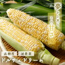 2026年6月分予約 減農薬 香川産 朝採れ 高糖度 とうもろこし ドルチェドリーム 3箱(計24~30本) トウモロコシ SSS ※ ふるさと納税 ではありません