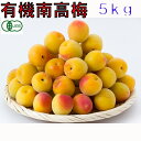 有機JAS 和歌山 南高梅 梅干し用 生梅 訳あり 5kg 完熟 サイズ混合 産地直送 NN ※ ふるさと納税 ではありません