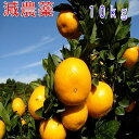 10月分予約 糖度12～15度 和歌山産 減農薬 みかん 約10kg 2S～2Lサイズ混合 ミカン 蜜柑 産地直送 SSS