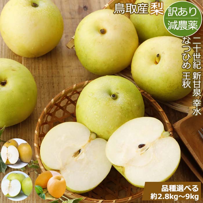産地 鳥取産 梨 品質 等級：家庭用 内容量 約2.8kg～9kg 品種・配送時期 幸水：8月中旬～下旬頃配送 なつひめ：8月下旬頃配送 新甘泉：8月下旬頃配送 二十世紀：9月上旬～下旬頃配送 王秋：11月中旬～12月下旬頃配送 お届け方法 常温便・産地直送 保存方法 なるべく涼しいところに置いてください。 （保存の際、冷蔵庫に長時間入れないようにして下さい。 長時間冷やすと糖度が下がります。） 商品詳細 鳥取市青谷町で、化成肥料・除草剤を使わず、減農薬の「安心・安全」な梨作りを行っております。 二十世紀梨と洋梨への強い想い 様々な梨を栽培しておりますが、特に二十世紀梨と洋梨の栽培に力を入れています。 二十世紀梨は独自の栽培方法で糖度が高く見た目も美しい為、贈答用として喜ばれています。 二十世紀梨と洋梨の栽培に力を入れておりますが、その他の品種も面積は少ないものの、心を込めて栽培しています。 是非とも生産者が大切に育てた美味しい梨を手に取っていただけると嬉しいです。 自家製肥料の使用 化成肥料に頼らず、自家製のボカシ肥料を使用しています。 化成肥料を使用した方が果実は大きくなり、球数は多く収穫することができますが、「樹が欲しい時に欲しい分だけ養分を吸収してもらう」ことを考え、樹に無理やり養分を吸収させないことで、本当に必要な養分を与えます。 そうすることで果実が大味にならず、しっかり甘くジュージーな梨に仕上がります。 自家製ボカシ肥料の配合は、前園主が経験から培った知識や技術を活かし「美味しい梨のために本当に必要なものは何か」研究・実践しながら、長い年月をかけて追及して現在の形になっています。 収量や収益ではなく「味」を追求し、食べた人を笑顔にすることを目指した「美味しい梨」を皆さまの元へお届けします。 備考 収穫量等の都合により、一時的に品切れする場合がございます。 その場合はこちらから納期のご連絡をさせていただきます。 写真はイメージです。 下記のようなご用途にご利用いただけます 無地のし　御見舞　お見舞い　快気内祝い　快気内祝　快気祝い　快気祝　　寿　結婚祝い　結婚祝　結婚内祝い　結婚内祝　御祝　お祝い　御礼　お礼　寸志　粗品　内祝い　内祝　御誕生日祝　お誕生日祝い　御中元　お中元　御中元ギフト　お中元ギフト　御供　お供え　御歳暮　お歳暮　母の日　御供　父の日　粗供養　敬老の日　御仏前　お仏前　暑中見舞い　暑中見舞　残暑見舞い　残暑見舞　御年賀　お年賀　志　還暦祝い　還暦祝　内祝　内祝い　出産内祝　出産内祝い　新築祝い　新築祝　出産祝い　出産祝 他、下記のようなお品をお探しの方に最適な品です。 フルーツ　フルーツギフト　鳥取産 梨 二十世紀 新甘泉 幸水 なつひめ 王秋 家庭用 訳あり わけあり ワケアリ 優版 自宅用 産地直送　 メーカー希望小売価格はメーカー商品タグに基づいて掲載しています。 *日々仕入れ値が上下する商品ではございません。 生産メーカーより固定での金額で契約を結んでおります。品質について 訳あり（ご家庭用）の商品にてお届けいたします。 ＊表面に多少のスレ・傷はございますが、美味しさは贈答用と変わりありません。 商品・配送について ・配送日・曜日・配送時期のご指定は不可となります。 ・天候及び生育具合によって、ご案内の配送時期より、配送が遅れる場合がございます。 ・ラッピング・メッセージカードは対応不可となります。 ・熨斗は対応可能です。 ・代金引換はご利用不可となります。 ・他商品の同梱は不可となります。 ・北海道・沖縄は500円の追加料金が掛かります。
