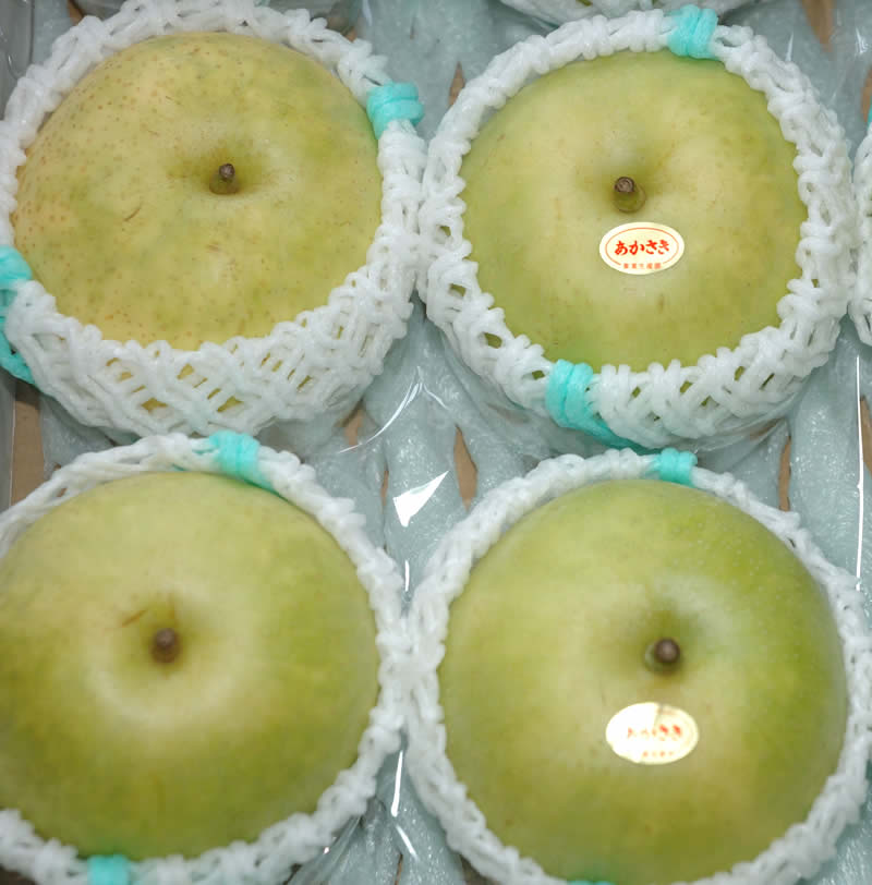 2026年9月分予約 訳あり 二十世紀 梨 約1.2キロ4個前後入 20世紀梨 20世紀 鳥取 和梨 SSS ※ ふるさと納税 ではありません