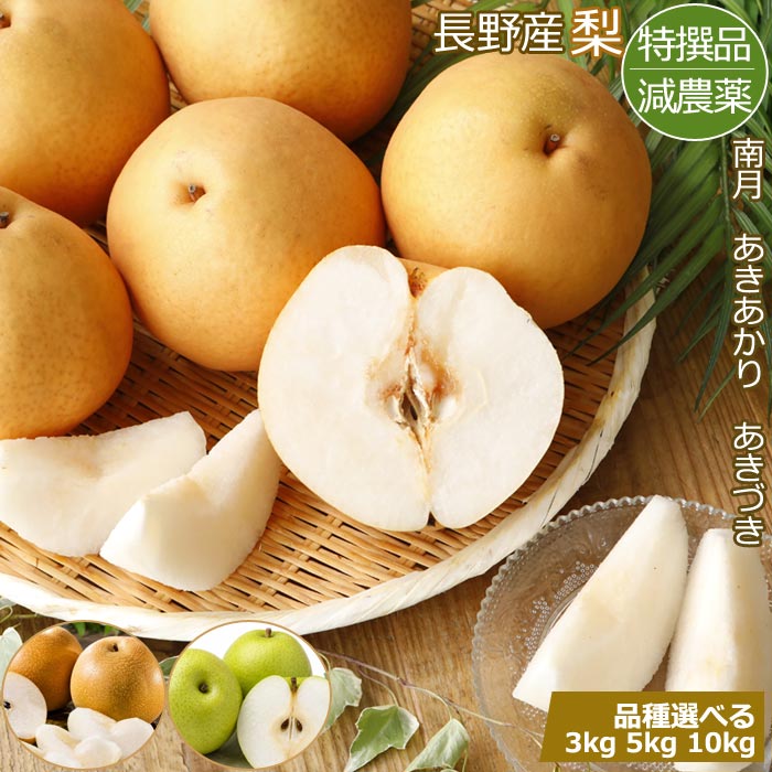産地 長野産 和梨 品質 等級：特選（秀）品 内容量 3kg、5kg、10kg　選べます 品種・配送時期 ◆南月：9月上旬～中旬頃配送 ◆あきあかり：9月上旬～中旬頃配送 ◆あきづき：9月下旬頃配送 お届け方法 常温便・産地直送 保存方法 なるべく涼しいところに置いてください。 （保存の際、冷蔵庫に長時間入れないようにして下さい。 長時間冷やすと糖度が下がります。） 商品詳細 安全・安心な特別栽培で有機農業を目指しています。 栽培している農園は、中央アルプスと南アルプスに囲まれた伊那谷で標高645mのところにあり、中央アルプスの伏流水が地下を流れ、土壌は稙壌土で真土には果実、野菜の味が良くなると言う、粘土質の赤土があり、甘味が特に強く、味の濃い果物が生産されます。 気候的にも内陸であり、適度な標高に恵まれているため、朝晩の温度差が生じ、果実が日中光合成によって蓄えたでんぷんを夜間に損失すること無く、果糖に分解できることにより、味の良い果物となります。 モグラ堆肥など微生物の豊富な有機質肥料を施すことにより、その微生物から作り出される、酵素、アミノ酸、ビタミン等が豊富に果物に入り、栄養価の高い果物が生産されます。 現在、日本有機農業生産組合の特別栽培の認証を頂いております。 医食同源の考えを基に健康に寄与する果物作りを実行するために、 日本有機農業生産者団体中央会に所属して研究し、栄養豊富で安心して食べてもらえる果物作りのため次のような事をしております。 備考 収穫量等の都合により、一時的に品切れする場合がございます。 その場合はこちらから納期のご連絡をさせていただきます。 写真はイメージです。 下記のようなご用途にご利用いただけます 無地のし　御見舞　お見舞い　快気内祝い　快気内祝　快気祝い　快気祝　　寿　結婚祝い　結婚祝　結婚内祝い　結婚内祝　御祝　お祝い　御礼　お礼　寸志　粗品　内祝い　内祝　御誕生日祝　お誕生日祝い　御中元　お中元　御中元ギフト　お中元ギフト　御供　お供え　御歳暮　お歳暮　母の日　御供　父の日　粗供養　敬老の日　御仏前　お仏前　暑中見舞い　暑中見舞　残暑見舞い　残暑見舞　御年賀　お年賀　志　還暦祝い　還暦祝　内祝　内祝い　出産内祝　出産内祝い　新築祝い　新築祝　出産祝い　出産祝 他、下記のようなお品をお探しの方に最適な品です。 減農薬　フルーツ　フルーツギフト　鳥取産 梨　和梨 贈答用 南月 あきあかり あきづき 秀品 特撰品 産地直送 メーカー希望小売価格はメーカー商品タグに基づいて掲載しています。 *日々仕入れ値が上下する商品ではございません。 生産メーカーより固定での金額で契約を結んでおります。品質について 等級：特選（秀）品の最もよい品質の商品にてお届けいたします。 ＊品質・お味はもとより、外観も優れた最高品質の果実です。 ご進物用にも最適です。 商品・配送について ・配送日・曜日・配送時期のご指定は不可となります。 ・天候及び生育具合によって、ご案内の配送時期より、配送が遅れる場合がございます。 ・ラッピング・メッセージカードは対応不可となります。 ・熨斗は対応可能です。 ・代金引換はご利用不可となります。 ・他商品の同梱は不可となります。 ・北海道・沖縄は500円の追加料金が掛かります。