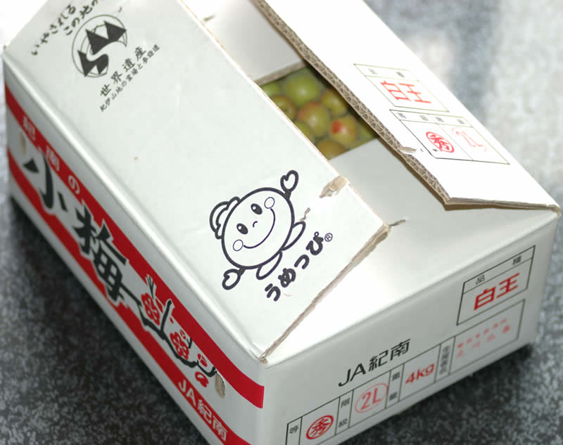 2027年5月分予約 和歌山 小梅 熟 梅干し用 白王 4kg 生梅 贈答向け 秀品 S10 ※ ふ...