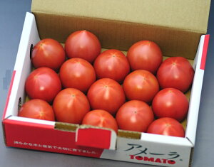 甘さと栄養価が濃縮された高糖度トマト アメーラ1kgS～2Sサイズ16～20個 産地化粧箱入 S10