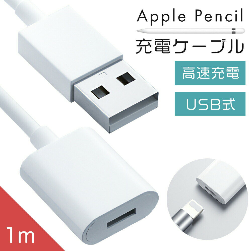  ̵  Apple pencil ť֥  ֥ åץڥ󥷥 USB 1 2 1M iPad Pr...