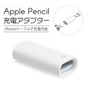 【 送料無料 】 Apple Pencil 充電 変換アダプタ アップルペンシル 変換 USB USBケーブル USBケーブル変換アダプタ 充電ケーブル ケーブル iPad pro カバー ケース ペン先(2)
