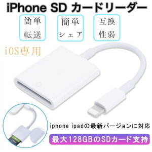 ŷ󥭥 fafe SDɥ꡼ iPhone SD ɥ꡼ SD usb microsd PC apple ̿ ꡼ ƥå 饤ȥ˥  ǡž usb3.0 typec ̵