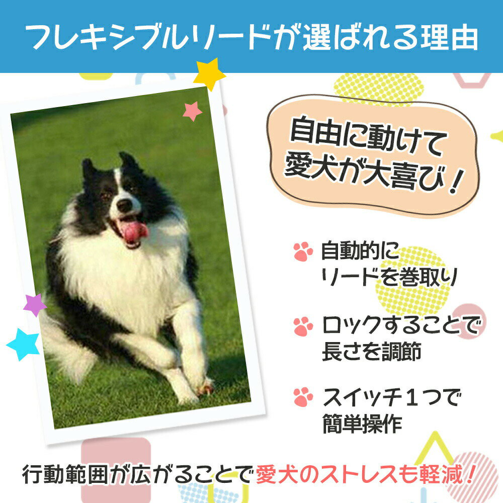 【 送料無料 】 伸縮リード 犬用 おしゃれ 可愛い 伸縮 リード ロング 5m ロック 人気 ストラップ 巻き取り おすすめ 犬 中型犬 大型犬 小型犬 長い フック ハーネス コードタイプ フリッピー