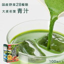 青汁 国産 大麦若葉 乳酸菌 100包入り 大容量 国産野菜28種類 ナノ型乳酸菌nEF 個包装 粉末 包 明日葉 ケール モロヘイヤ