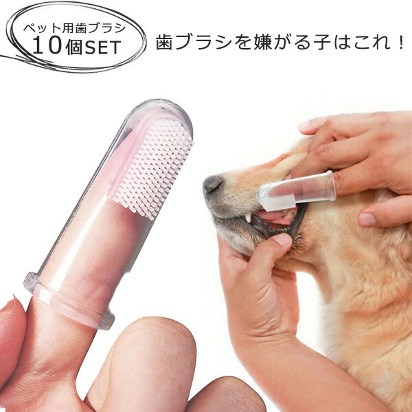  ³ʤĩ ˺ʤץ쥼ȥڡ ̵  fafe ڥå ػ֥饷 10ĥå ꥳ ꥳ ֥饷 إå ...