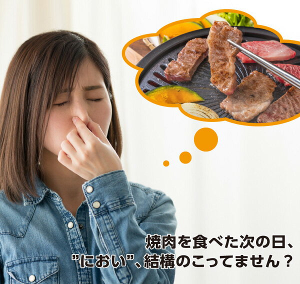 ホットプレート 吸煙グリル ゼロスモーク デラックスII 最高温度230℃ 2種類プレー...