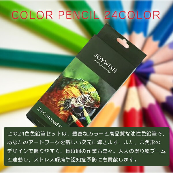 【楽天スーパーSALE】秋の必需品まるごと応援! ポイント2倍~&特別クーポン 色鉛筆 24色 塗絵 塗り絵 油性 絵具 子供 マンガ 漫画 デッサン スケッチ おとな 小学生 おしゃれ 文房具 文具 鉛筆 えんぴつ 折れにくい お絵かき 色えんぴつ おえかき お絵描き セット fa-fe-10002122 FaFe サンプル画像2