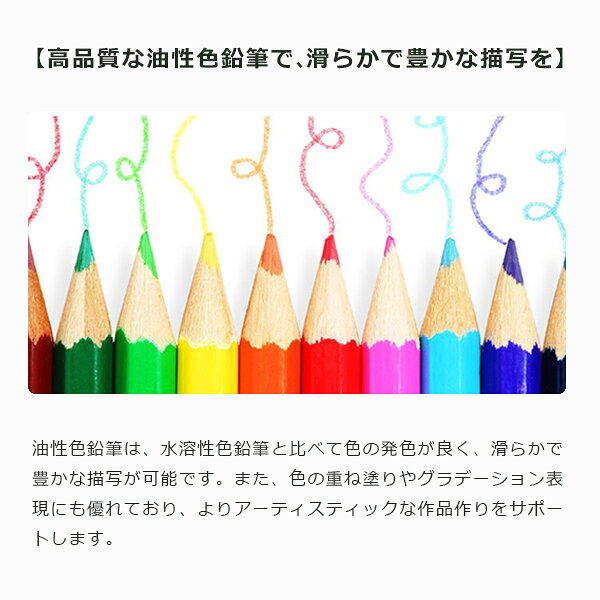 【楽天スーパーSALE】秋の必需品まるごと応援! ポイント2倍~&特別クーポン 色鉛筆 24色 塗絵 塗り絵 油性 絵具 子供 マンガ 漫画 デッサン スケッチ おとな 小学生 おしゃれ 文房具 文具 鉛筆 えんぴつ 折れにくい お絵かき 色えんぴつ おえかき お絵描き セット fa-fe-10002122 FaFe サンプル画像3