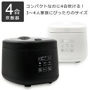 炊飯器 4合 マイコン式炊飯器 一人暮らし 小家族向け 通常炊飯 多機能 タッチパネル お手入れ簡単 9モード調理 通常炊飯 早炊き お粥 スープ 煮物 ケーキ 蒸し料理 ヨーグルト 保温 RM-218TE