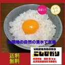 石川産 こしひかり 白米 5kg 金沢北部山間地限定 令和2年度 新米 送料無料