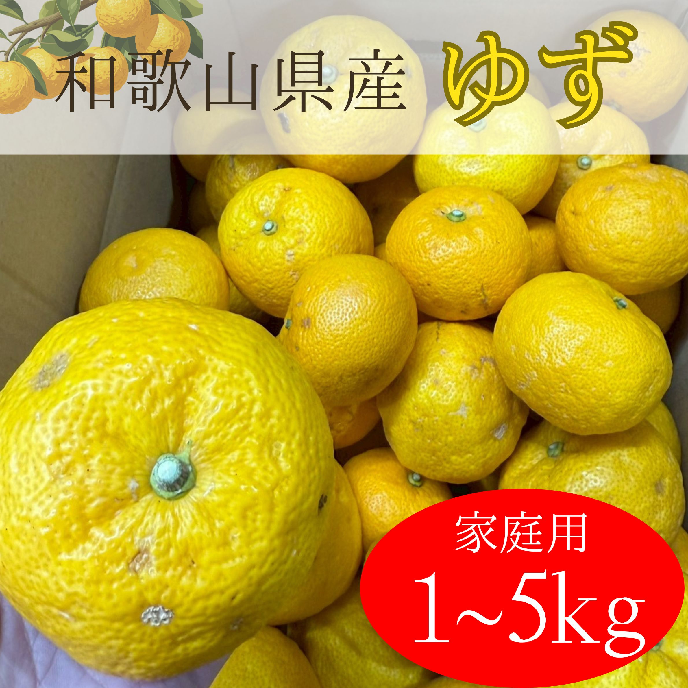 �ڲ����ѡ��²λ������椺��1������5����