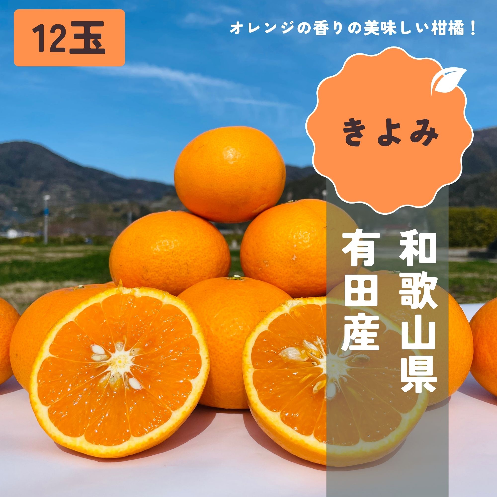 和歌山・有田 きよみ 12玉