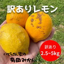 【訳あり】 ずっしり重い!!国産レモン 2.5キロ 14~22玉(4)