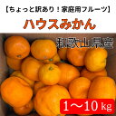 【ちょっと訳あり!家庭用フルーツ】ハウスみかん