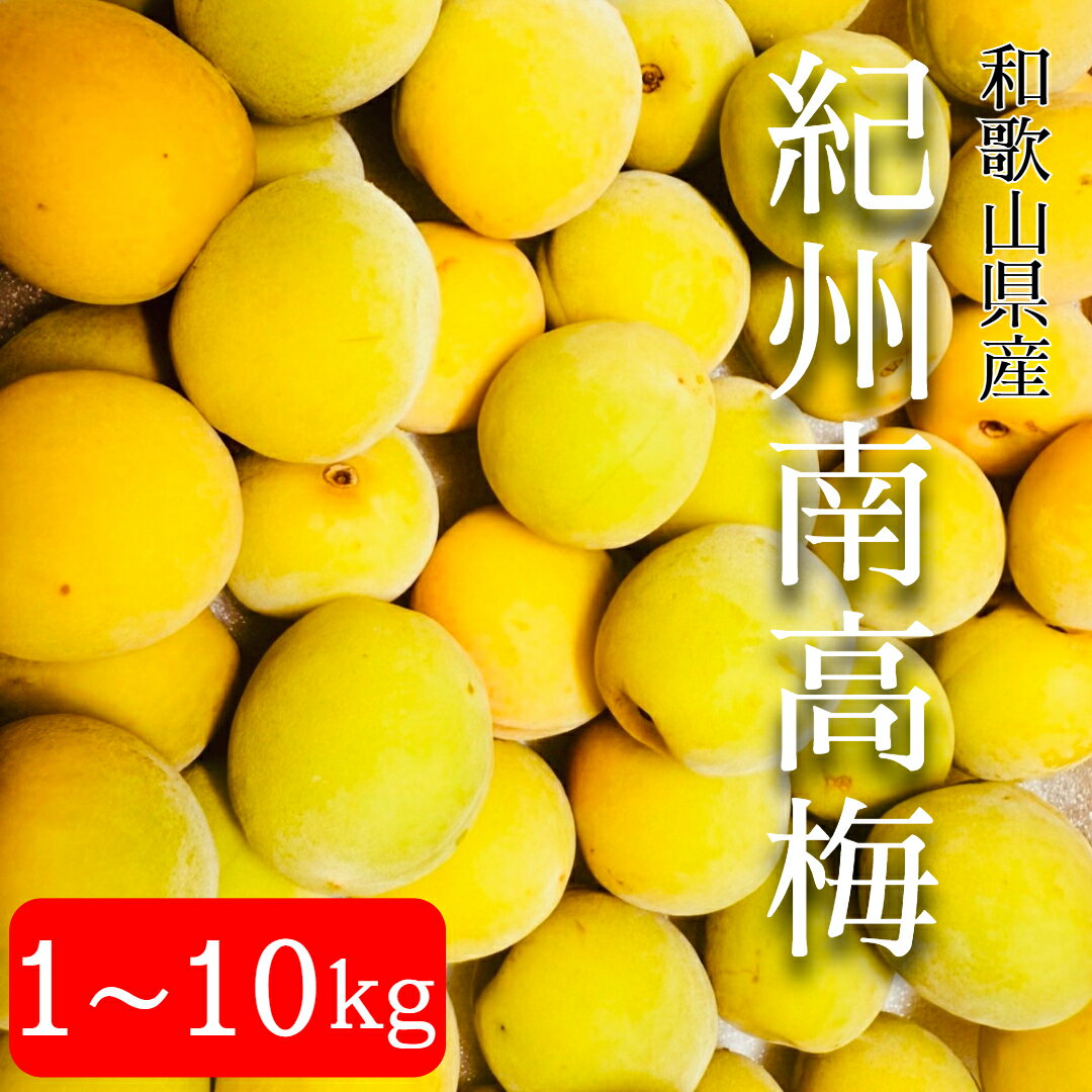 楽天市場】完熟 梅 10キロの通販