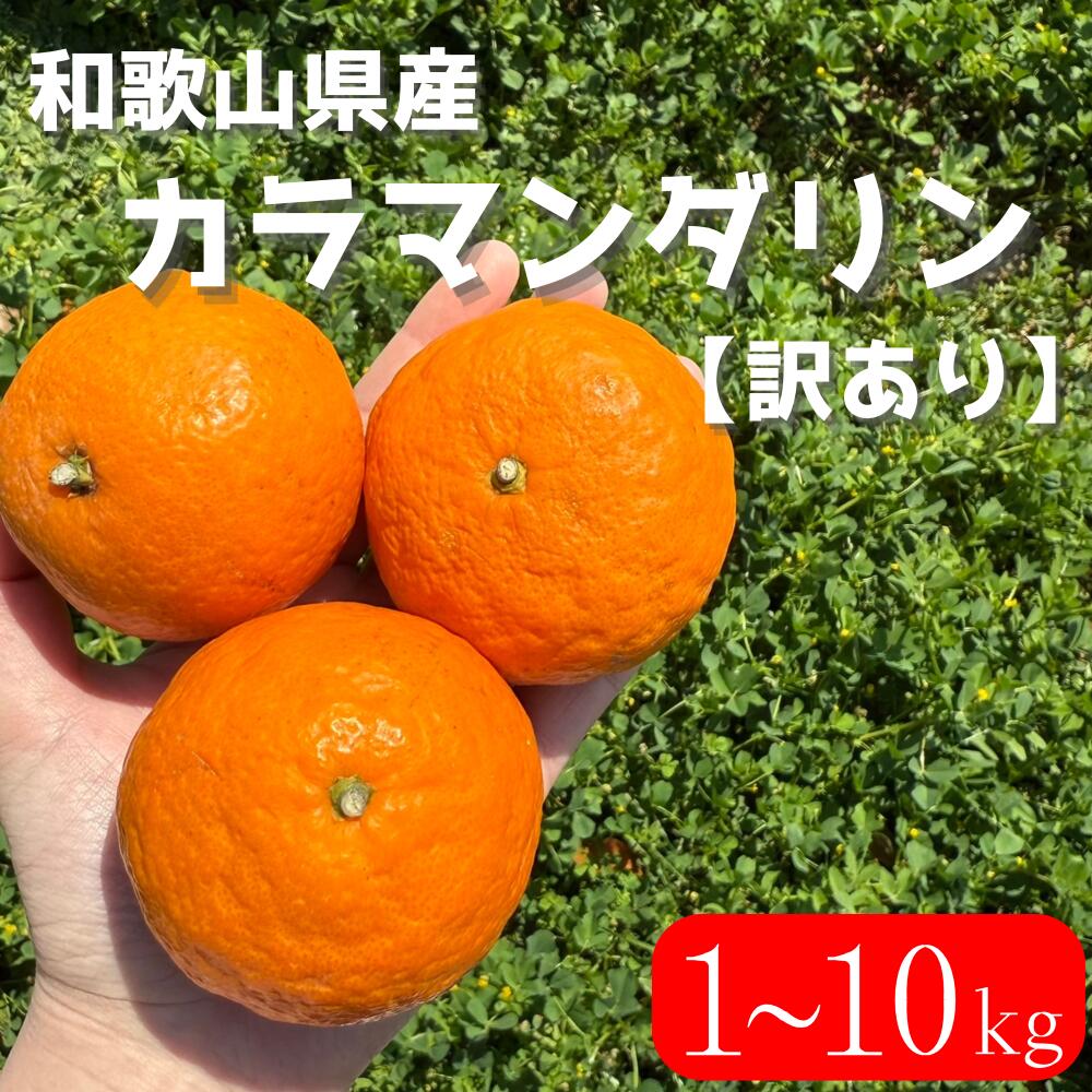 和歌山県産【訳あり】カラマンダリン　1～10キロ