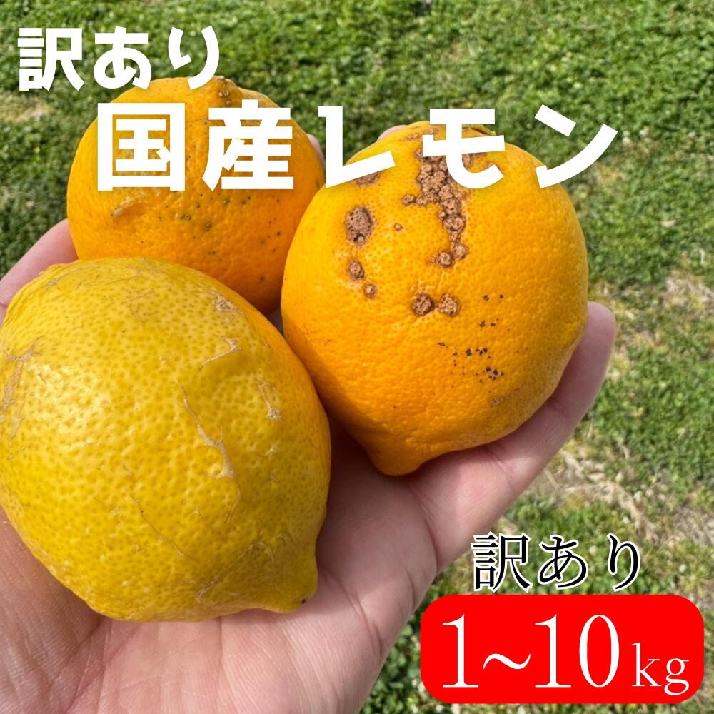Rakuten - 【訳あり】 和歌山県産 ずっしり重い!!国産レモン 2キロ～10キロ
