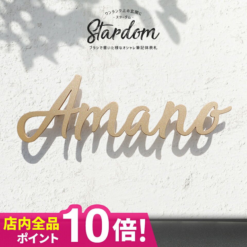 表札 ステンレス 表札 戸建 アイアン 貼り付け 切り文字 筆記体 二世帯 オーダーメイド 表札 おしゃれな ステンレス表札 (Stardom)