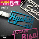 ネームプレート ネームタグ ゴルフ 名入れ スーツケース 子供 オーダー 印刻 名札 キーホルダー ステンレス 【 オーダーメイド 名入れ対応!光の当たり方で色...