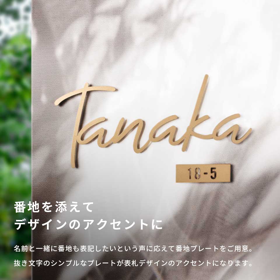 表札 戸建 オーダーメイド ステンレス 切り文字 アイアン 筆記体 二世帯 シンプルでおしゃれなステンレス番地表札 (ASSE) 3