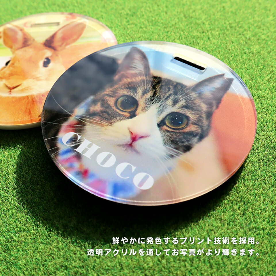 �ڥ����λҥ��ꥸ�ʥ�͡��ॿ���ۥǥ�����͡��ॿ�� �͡���ץ졼�� ̾�� ̾���� �̿����� ������� �ǥ����� �ǥ� �ץ쥼��� �ڥå� �� ǭ ���ꥢ��ץ졼�� ���������ᥤ�� �����ʡ����å� ��ǰ��