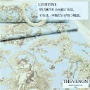 フランス 輸入生地品名：LUDIVINE/fd bleu 1161602 ブランド名：THEVENON/フランス＊50cm以上10cm単位＊トワル ド ジュイ トワルドジュイ 綿100％ コットン カルトナージュ 生地 布 マスク エコバッグ はぎれ カット カット売り