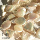 【ドロップ淡水パール2個】 18×13mm ペア しずく 高品質淡水パール バロック 花びら コイン 真珠 ハンドメイドパーツ パーツ ビーズ 手作りアクセサリ...