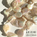 ドロップ淡水パール1連 約19個 18×13mmしずく 高品質淡水パール バロック 花びら コイン 真珠 ハンドメイドパーツ パーツ ビーズ 手作りアクセサリー...
